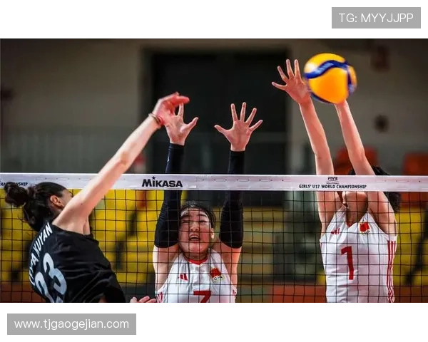 杭州排球队荣登排球配合排行榜第一名展现卓越团队实力