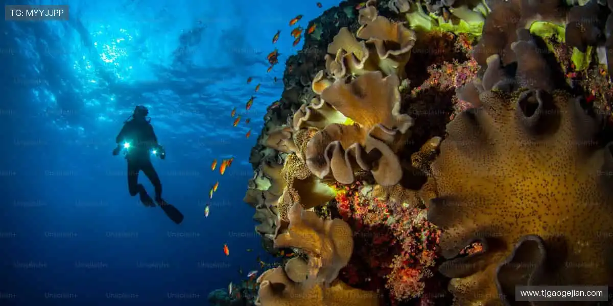 🎧专业护具，科技加持，运动安全与舒适并存！